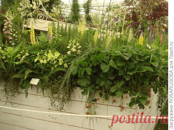 Высокие грядки на даче: идеи с выставок и примеры из реальной жизни