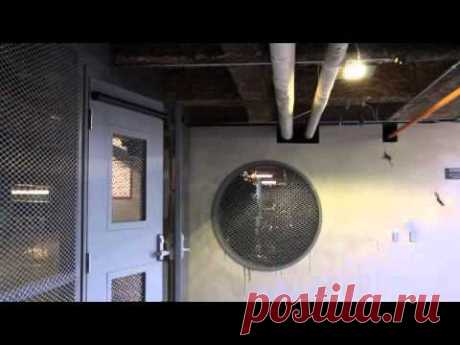 Clever birds figure out how to open heavy steel doors installed between them and their nests | 22 Words. Умные птички научились открывать автоматические стальные двери.