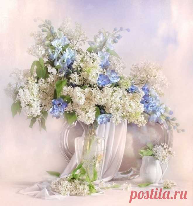 Original: http://s001.radikal.ru/i193/1105/d6/2f4114f77607.jpg