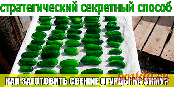 НЕТ! ТОЧНО РУССКИЙ НАРОД НЕ ПРОПАДЁТ! | Полезные советы