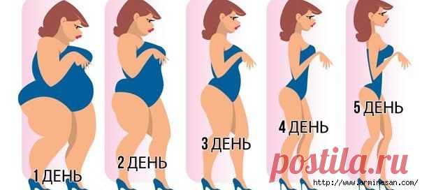 ЧУДО-ДИЕТА ЛЕСЕНКА МИНУС 12кг