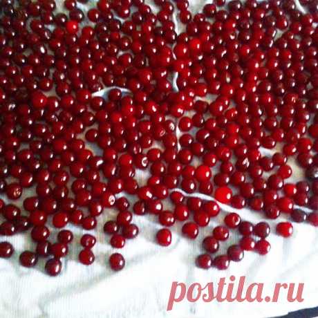 Летнее утро начинается не с кофе.
#лето #вишня #food #карлсончик #вишневоеваренье #yummy #yumm #cherry #picoftheday #instagram #lovenature #home #lovefamily #homemade #family #summer