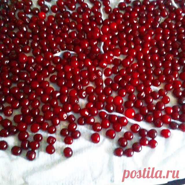 Летнее утро начинается не с кофе.
#лето #вишня #food #карлсончик #вишневоеваренье #yummy #yumm #cherry #picoftheday #instagram #lovenature #home #lovefamily #homemade #family #summer