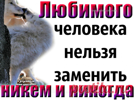 Когда человек становится тебе близким, родным.Ты все время нуждаешься в его внимании.Тебе постоянно его не хватает.Ведь любимого не заменить, никем и никогда.