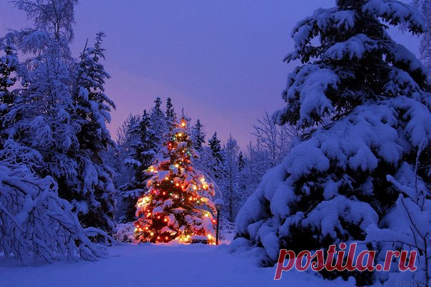 Красивые картинки На вашу страницу {♥2018♥}
