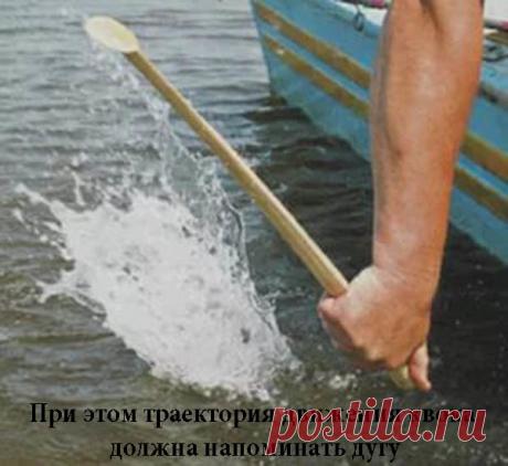 C квоком и мудростью