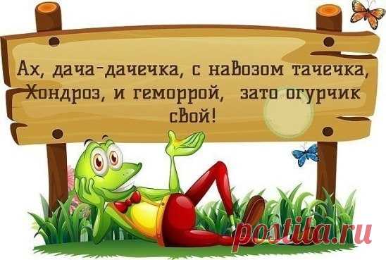 Иван Попов - Санкт-Петербург, Россия, 50 лет на Мой Мир@Mail.ru