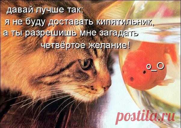 Прикольные картинки животных с подписями (70 фото) » Загоны.ру - самый загонный сайт!