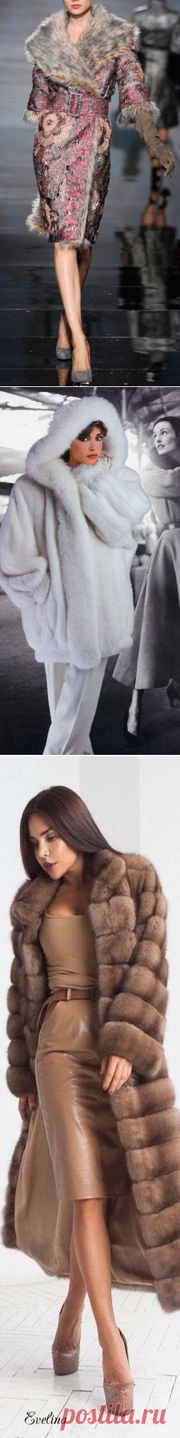 (101) Pinterest