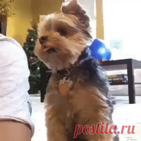 Когда тебе что-то не разрешают