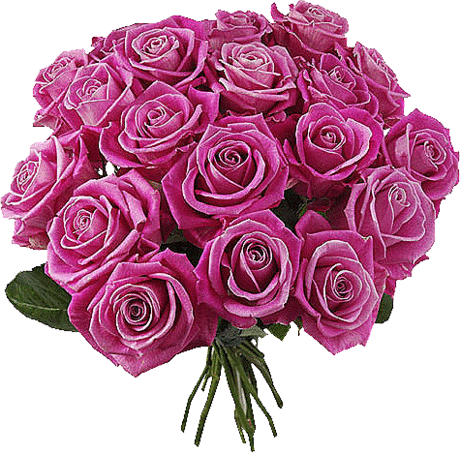 Decent Image Scraps: Beautiful Roses 5