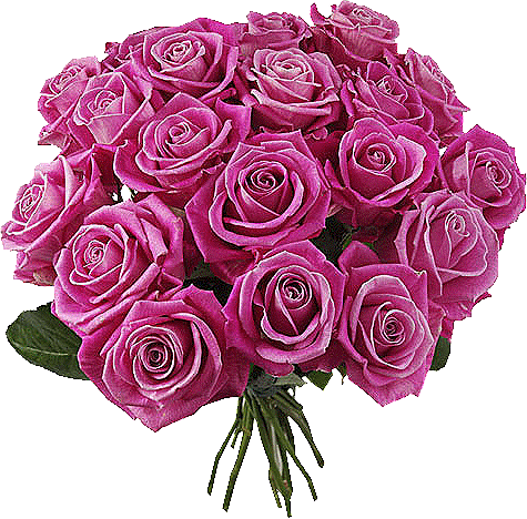 Decent Image Scraps: Beautiful Roses 5