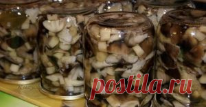Маринуем очень вкусные грибы сами. Больше магазинные моя семья не покупает! - Apetitno.TV
