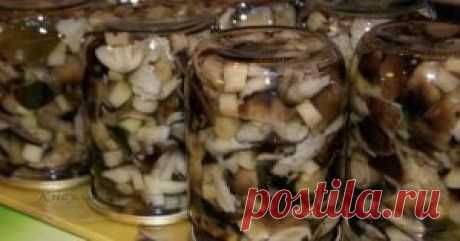 Маринуем очень вкусные грибы сами. Больше магазинные моя семья не покупает! - Apetitno.TV
