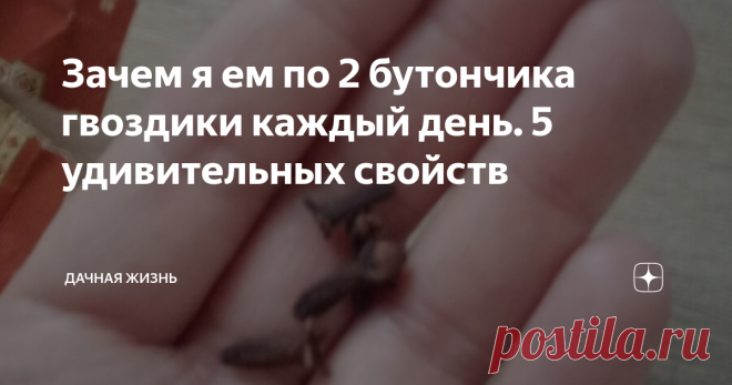 Зачем я ем по 2 бутончика гвоздики каждый день. 5 удивительных свойств О лечебном действии гвоздики люди знают уже давно. Гвоздика излечивает немало болезней, потому что имеет уникальный состав. Содержит витамины, минеральные вещества, эфирные масла, жирные кислоты.
