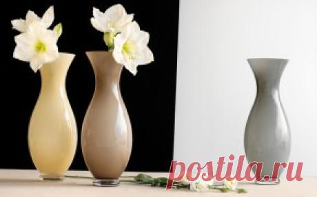 Купить посуду IVV в Киеве. Цена в интернет-магазине Posud:meister