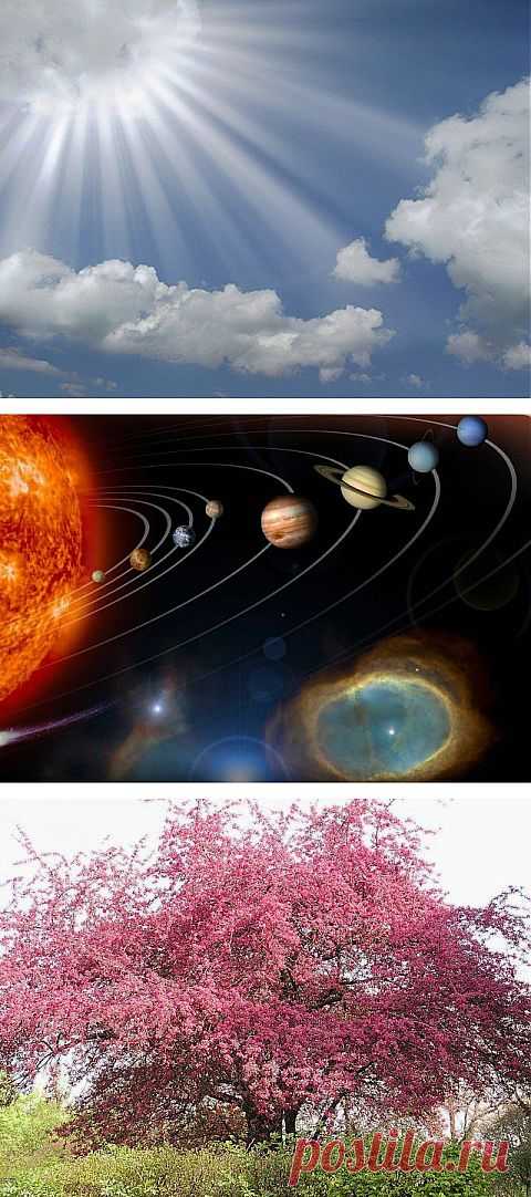 ИСТИНА О РУСИ КИЕВСКОЙ( КИЯ) | Клуб интеллектуалов