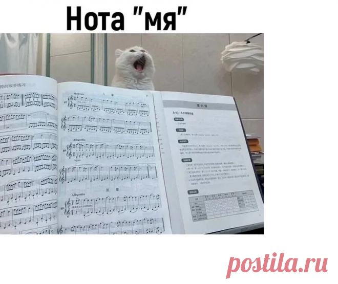 332e9d09.png (896×753)