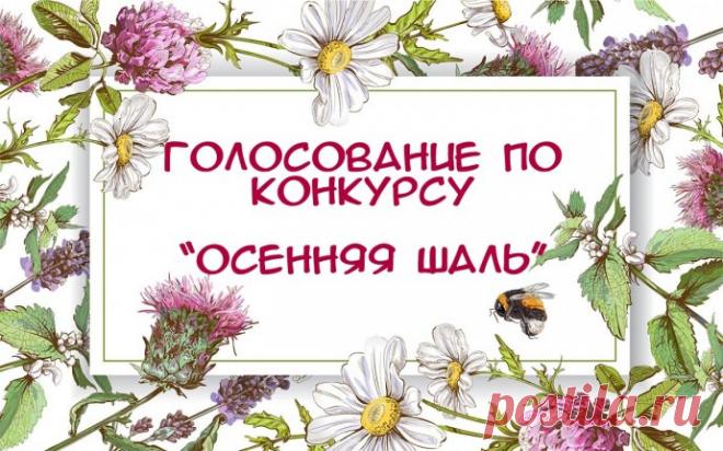 Голосование по конкурсу "Осенняя шаль"