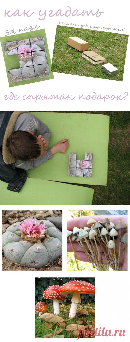 3D-пазл, что подарить парню или как удивить человека на День Рождения