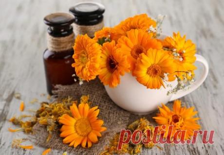 Уникальное природное средство против старения кожи из цветков календулы поможет вам избавиться от морщинок, омолодить и тонизировать кожу лица без использования дорогостоящих косметических средств.

Омолаживающая маска для лица – рецепт
Ингредиенты:
Показать полностью...