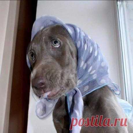 Интересные новости