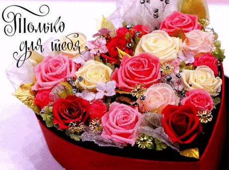 ✿ღ♥БУДЬ ЗДОРОВ,БЕЗ ВСЯКИХ ДОКТОРОВ!!!✿ღ♥ - ОГОНЁК - Группы Мой Мир