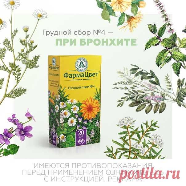 С бронхитом сталкивались многие. Наиболее узнаваемым симптомом бронхита является частый кашель, который очень мешает гармоничной жизни. 

Для лечения в составе комплексной терапии воспалительный заболеваний дыхательных путей, сопровождающихся кашлем с трудноотделяемой мокротой (в том числе бронхит, трахеит) может быть использован Грудной сбор №4 от бренда «ФармаЦвет».
Показать полностью…