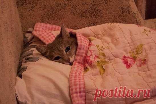 Спокойной ночи