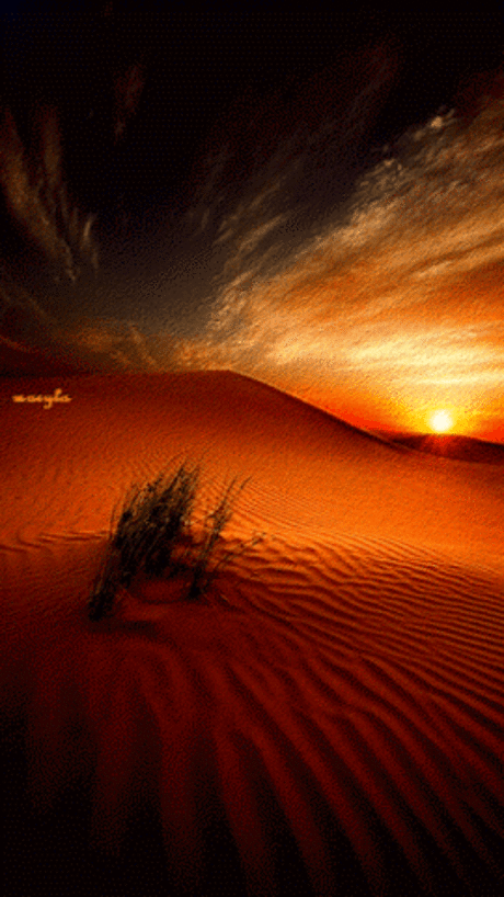 GiF WORLD – Nature – Сообщество – Google+