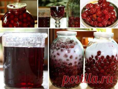 Вкусный вишневый домашний ликер — Мир интересного