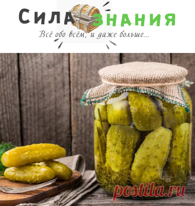Квашенные огурцы на зиму как бочковые: 7 рецептов на зиму