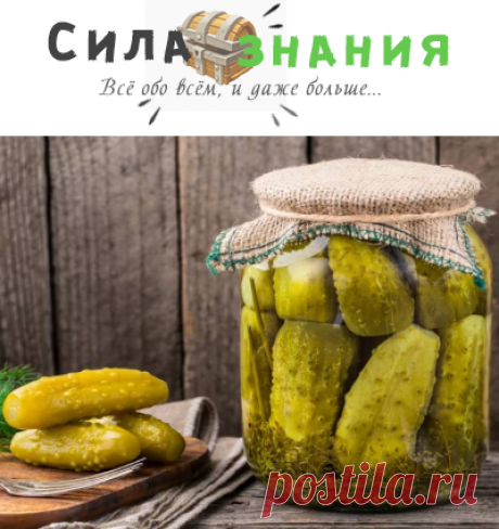 Квашенные огурцы на зиму как бочковые: 7 рецептов на зиму