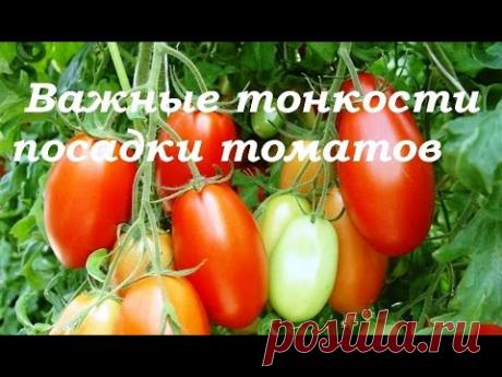 Дачнику на заметку