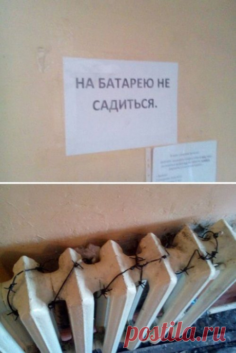 Прикольные картинки дня / Приколы