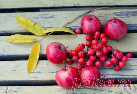 Рябиновая пора: варенье из рябины и яблок