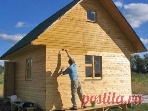 Натуральная краска — в 10 раз дешевле! | Мировоззрение