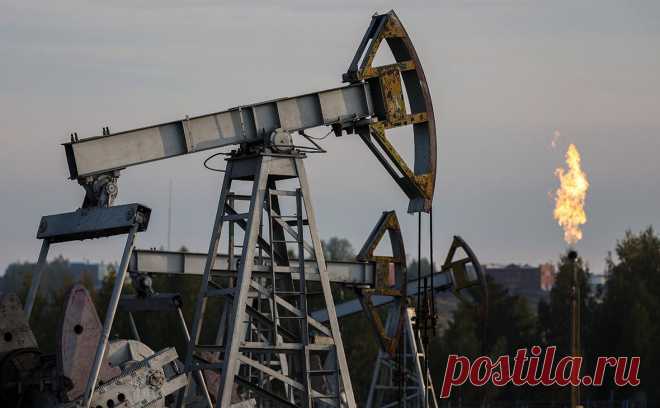 Посольство России назвало размер скидки на нефть для Индии. Индии предоставляется скидка на нефть из России в размере около 5% на фоне угрозы США ввести пошлины 25% на индийские товары за то, что Нью-Дели покупает топливо у Москвы