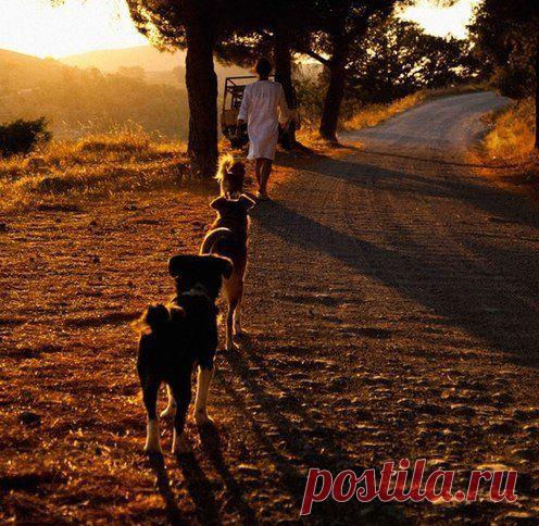 Фразеологизмы: / Неформальный Английский