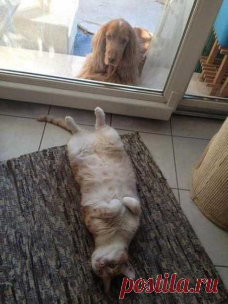 Хорошо тем, кто дома....