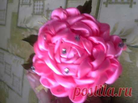 роза