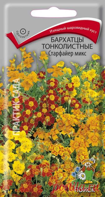 Семена. 