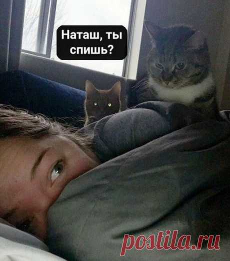 «Наташ, мы все уронили!» – лучший мем, чтобы сообщать плохие новости – часть 3