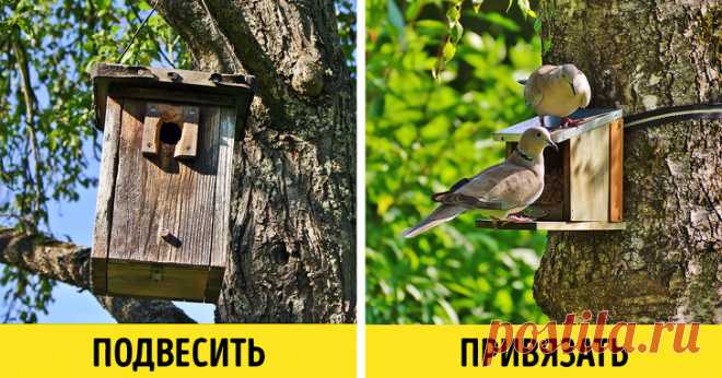 10 принципов экозащитников, которые оказались не более чем фикцией