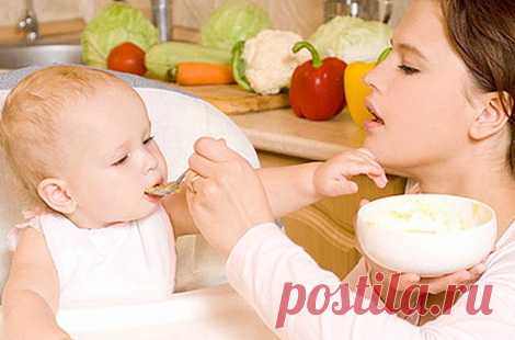 Как давать прикорм. Рекомендации ВОЗ | Дуэт душ