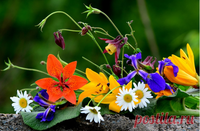 Я люблю ✿ ЦВЕТЫ ✿ | I ♥ Flowers