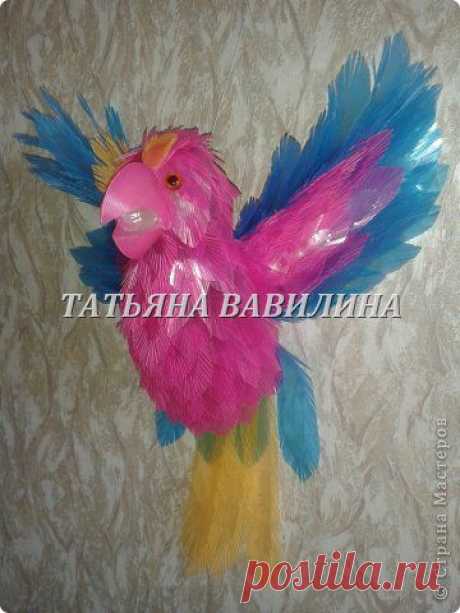 ПОПУГАЙЧИК-2 МК.