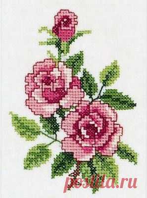 aaadelayda.gallery.ru/watch?ph=9IQ-ca6yp&subpanel=zoom&zoom=8