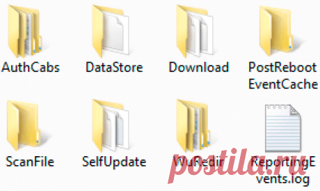 Что за папка SoftwareDistribution в Windows.