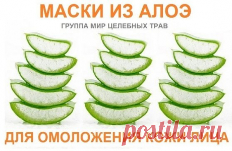 Маска из алоэ для омоложения кожи лица.